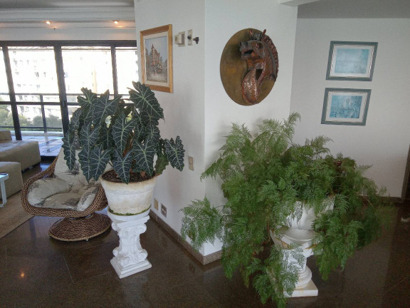 Imagem Apartamento com 4 Quartos à Venda, em Jardim Astúrias - Guarujá Imagem Apartamento com 4 Quartos à Venda, em Jardim Astúrias - Guarujá