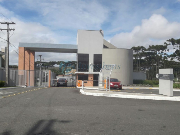 Imagem Casa de Condomínio com 4 Quartos à Venda, 801 m² em Pineville - Pinhais