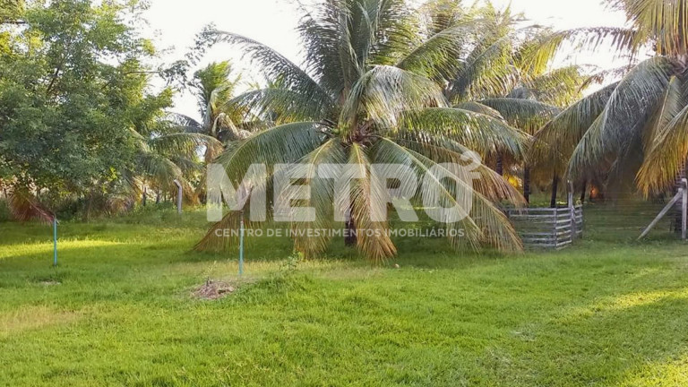 Imagem Fazenda à Venda, em Estrada Das Pedrinhas - Petrolina Imagem Fazenda à Venda, em Estrada Das Pedrinhas - Petrolina