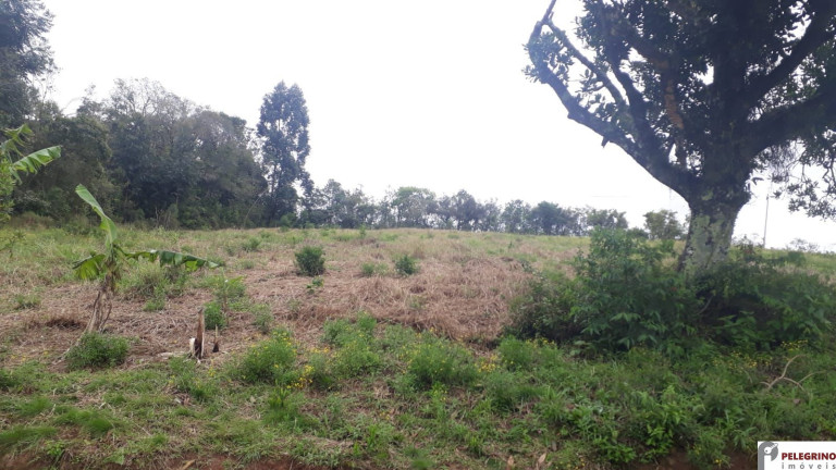 Imagem Imóvel com 2 Quartos à Venda, 95 m² em Zona Rural - Sentinela Do Sul Imagem Imóvel com 2 Quartos à Venda, 95 m² em Zona Rural - Sentinela Do Sul