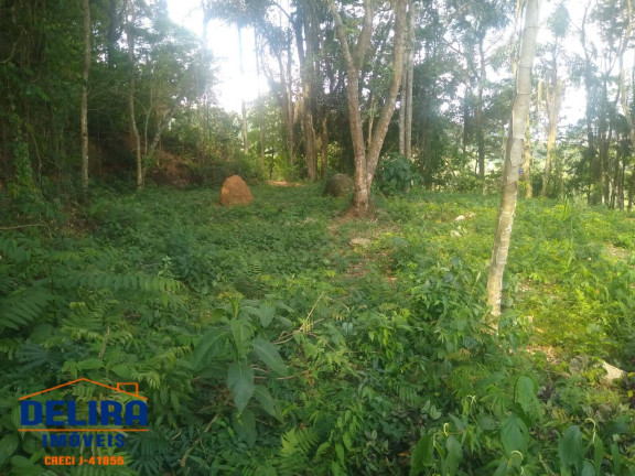 Imagem Terreno à Venda, 1 m² em Terra Preta (terra Preta) - Mairiporã Imagem Terreno à Venda, 1 m² em Terra Preta (terra Preta) - Mairiporã