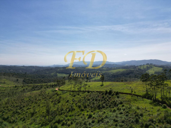 Imagem Imóvel Comercial à Venda, 380.000 m² em Terra Preta - Mairiporã