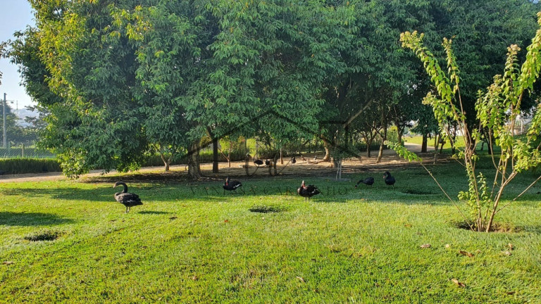 Imagem Terreno à Venda, 360 m² em Condomínio Ibiti Royal - Sorocaba Imagem Terreno à Venda, 360 m² em Condomínio Ibiti Royal - Sorocaba