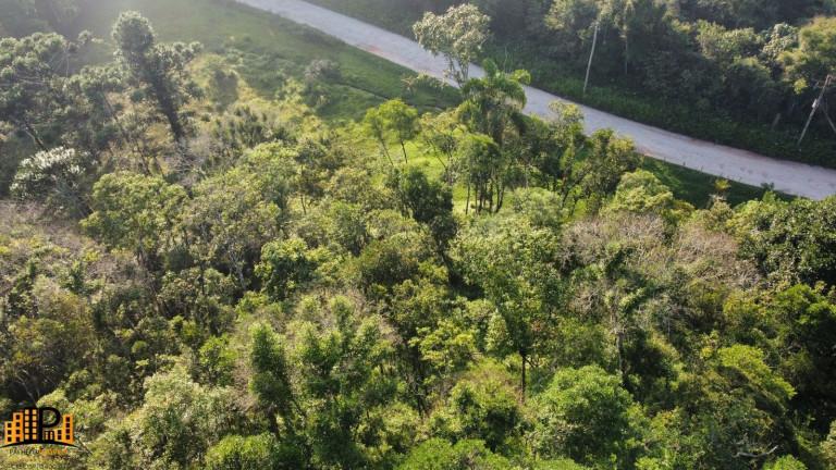 Imagem Terreno à Venda, 3.000 m² em Barrinha - São Lourenço Da Serra