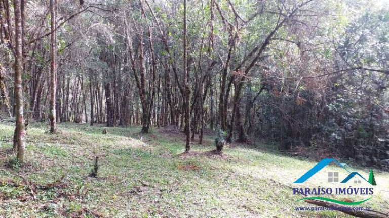Imagem Terreno à Venda, 10.794 m² em Centro - Gonçalves Imagem Terreno à Venda, 10.794 m² em Centro - Gonçalves