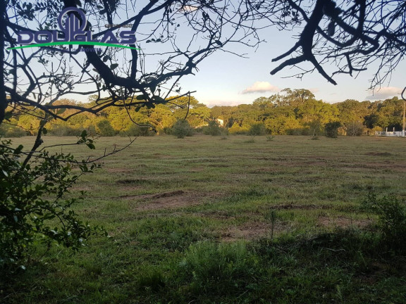 Imagem Chácara à Venda, em Viamão Imagem Chácara à Venda, em Viamão