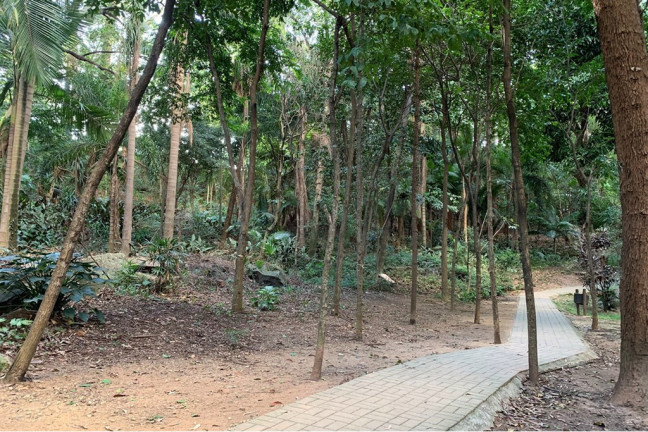 Imagem Imóvel com 3 Quartos à Venda, 73 m² em Freguesia Do ó - São Paulo Imagem Imóvel com 3 Quartos à Venda, 73 m² em Freguesia Do ó - São Paulo