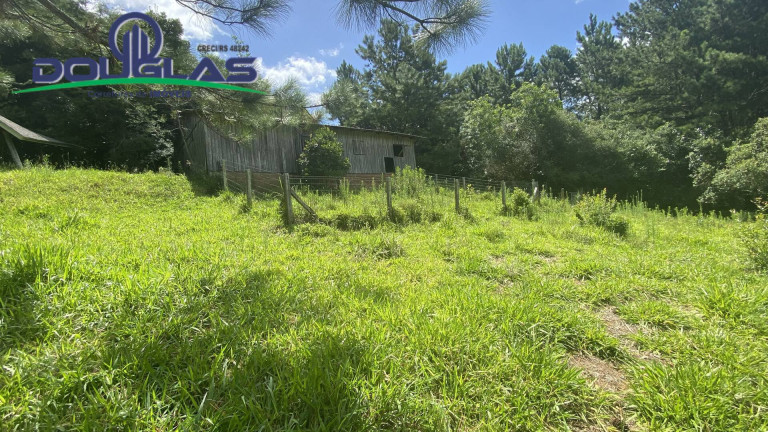 Imagem Terreno à Venda, 5.000 m² em Viamão Imagem Terreno à Venda, 5.000 m² em Viamão