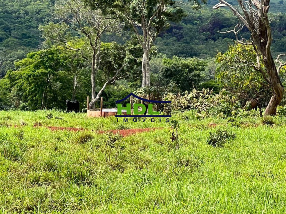 Fazenda à Venda,  em Zona Rural - Torixoréu