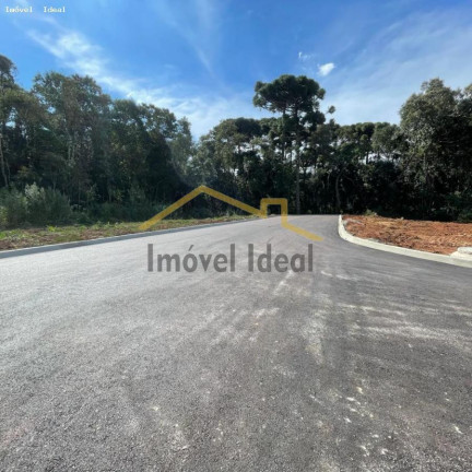 Imagem Terreno à Venda, 230 m² em Costeira - Araucária