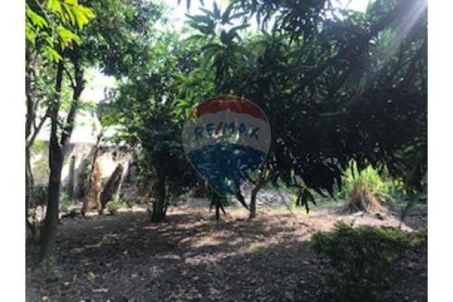 Imagem Terreno à Venda, 2.000 m² em Taquara - Rio De Janeiro Imagem Terreno à Venda, 2.000 m² em Taquara - Rio De Janeiro