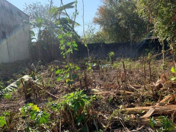Imagem Terreno à Venda, em Alto Do Cardoso - Pindamonhangaba Imagem Terreno à Venda, em Alto Do Cardoso - Pindamonhangaba