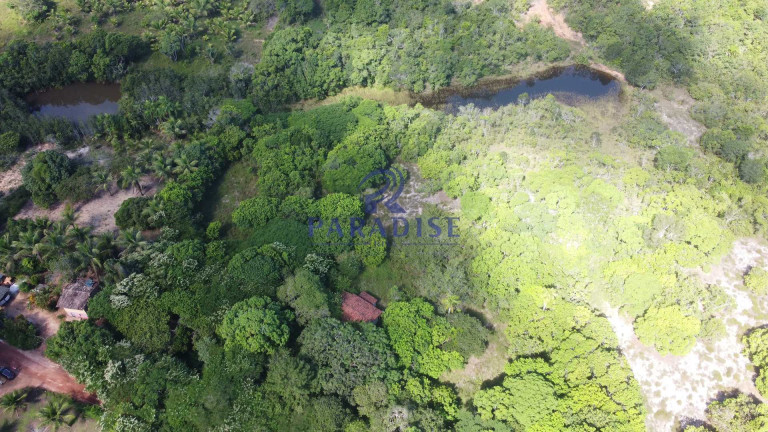 Fazenda à Venda, 592.700 m² em Monte Gordo (monte Gordo) - Camaçari
