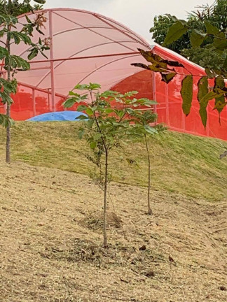 Imagem Chácara à Venda, 20 m² em Itapetinga - Atibaia