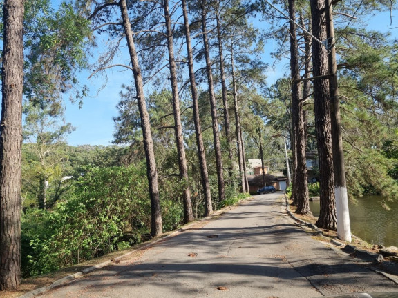 Imagem Casa com 4 Quartos à Venda, 350 m² em Granja Carneiro Viana - Cotia Imagem Casa com 4 Quartos à Venda, 350 m² em Granja Carneiro Viana - Cotia