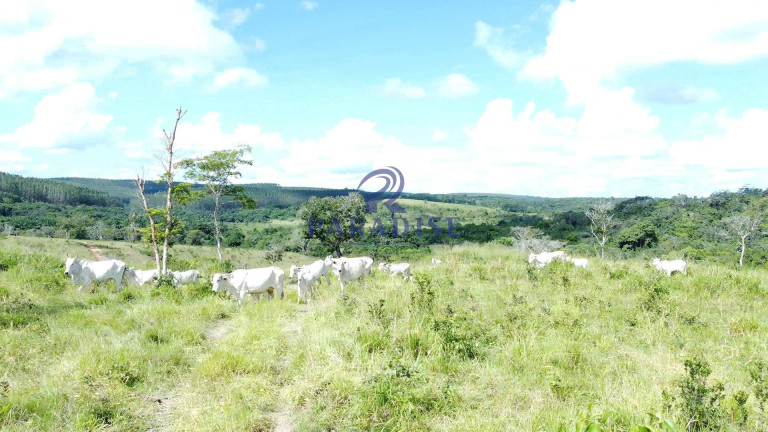 Imagem Fazenda à Venda, 9.750.000 m² em Zona Rural - Itanagra