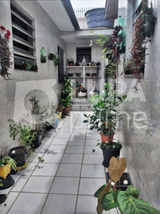Imagem Casa com 4 Quartos à Venda, 262 m² em Vila Isolina Mazzei - São Paulo