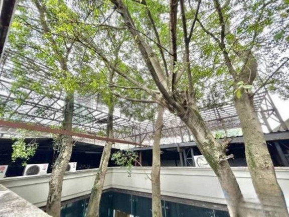 Imagem Imóvel para Alugar, 1.991 m² em Jardim América - São Paulo Imagem Imóvel para Alugar, 1.991 m² em Jardim América - São Paulo