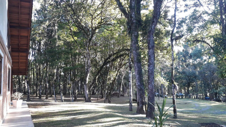 Imagem Chácara com 3 Quartos à Venda, 129 m² em Centro - Campo Largo