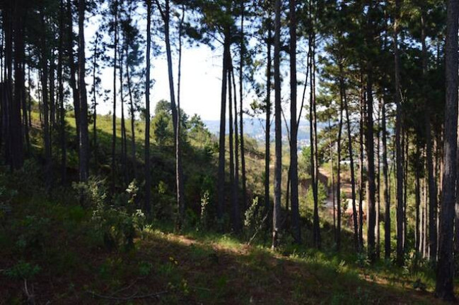 Imagem Terreno à Venda, 75 m² em Vale Encantado - Campos Do Jordão Imagem Terreno à Venda, 75 m² em Vale Encantado - Campos Do Jordão
