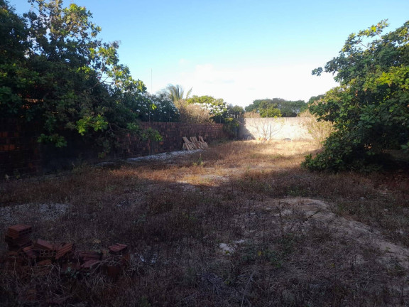 Terreno à Venda,  em Centro - Tibau Do Sul