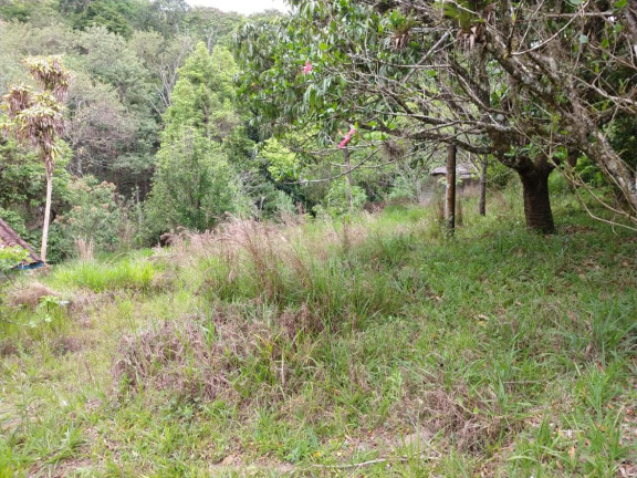 Imagem Fazenda à Venda, 30.000 m² em Centro - Joanópolis Imagem Fazenda à Venda, 30.000 m² em Centro - Joanópolis