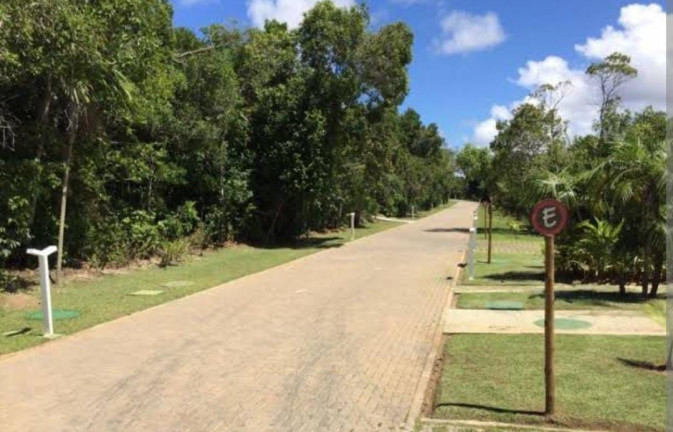 Imagem Terreno à Venda, 800 m² em Praia Do Forte - Mata De São João Imagem Terreno à Venda, 800 m² em Praia Do Forte - Mata De São João