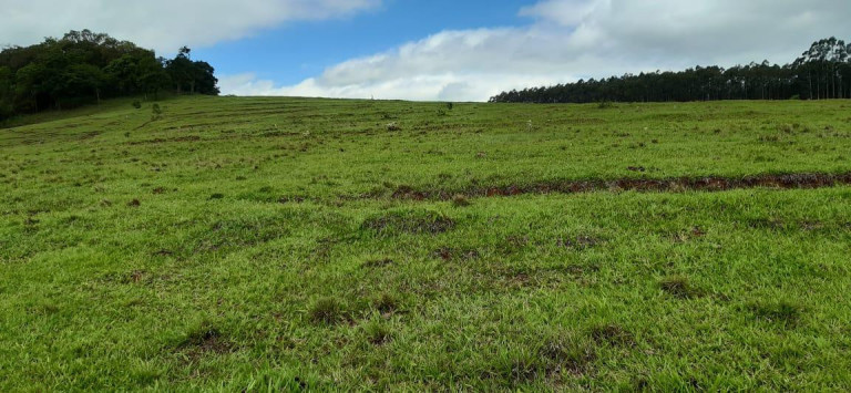 Imagem Chácara à Venda, 13 m² em Rural - Piraju Imagem Chácara à Venda, 13 m² em Rural - Piraju