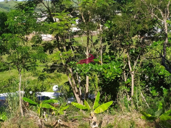 Imagem Chácara com 1 Quarto à Venda, 2.335 m² em São Caetano - Italva