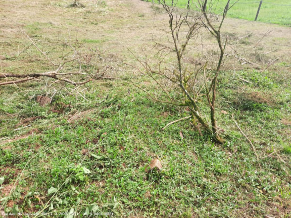 Imagem Chácara à Venda, 3.600 m² em Pocinhos Do Rio Verde - Caldas Imagem Chácara à Venda, 3.600 m² em Pocinhos Do Rio Verde - Caldas