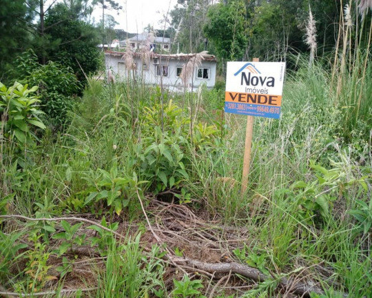Imovel