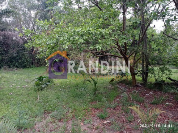 Imagem Terreno à Venda, 5.000 m² em Tucura - Mogi Mirim Imagem Terreno à Venda, 5.000 m² em Tucura - Mogi Mirim