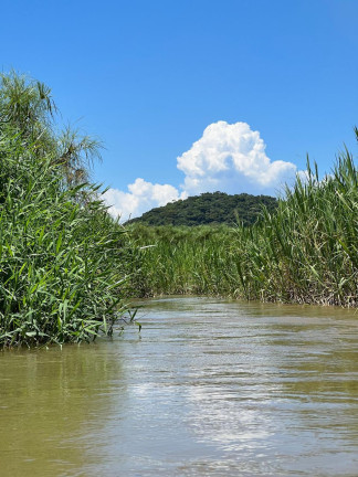 Imagem Chácara com 3 Quartos à Venda, 348.600 m² em Centro - Juquiá Imagem Chácara com 3 Quartos à Venda, 348.600 m² em Centro - Juquiá