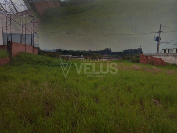 Imagem Imóvel Comercial para Alugar, 1.200 m² em Chapada Grande - Itapetininga Imagem Imóvel Comercial para Alugar, 1.200 m² em Chapada Grande - Itapetininga