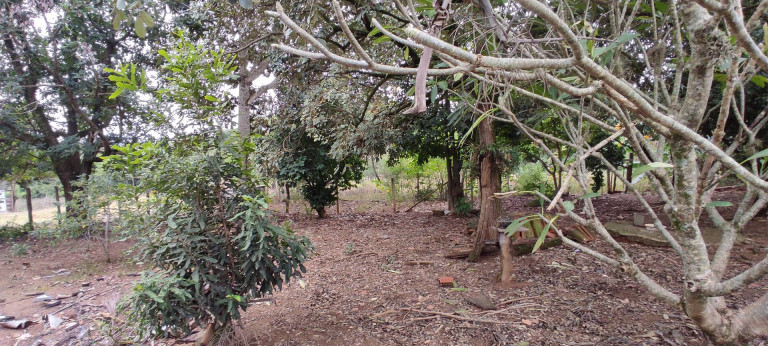 Imagem Chácara com 4 Quartos à Venda, 7 m² em Capuavinha - Salto De Pirapora