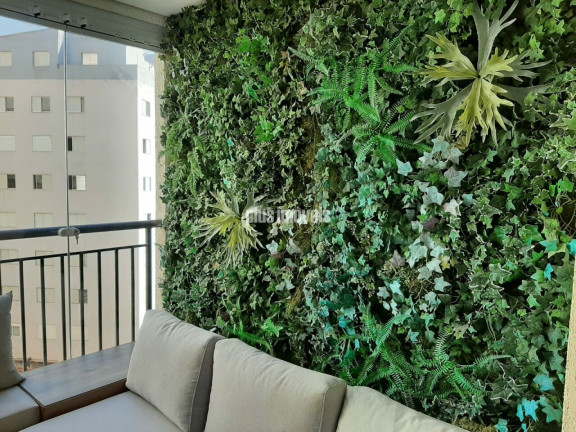Imagem Apartamento com 2 Quartos à Venda, 70 m² em Vila Ipojuca - São Paulo Imagem Apartamento com 2 Quartos à Venda, 70 m² em Vila Ipojuca - São Paulo