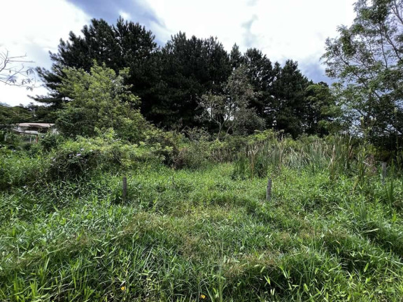 Imagem Terreno à Venda, 1 m² em Chácara Santa Lúcia - Carapicuíba Imagem Terreno à Venda, 1 m² em Chácara Santa Lúcia - Carapicuíba