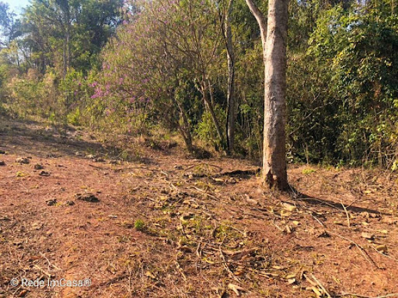 Imagem Imóvel Comercial à Venda, 240.000 m² em Piedade Do Paraopeba - Brumadinho Imagem Imóvel Comercial à Venda, 240.000 m² em Piedade Do Paraopeba - Brumadinho