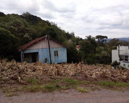 Imagem Imóvel à Venda, 530 m² em Br116 - Nova Petrópolis Imagem Imóvel à Venda, 530 m² em Br116 - Nova Petrópolis