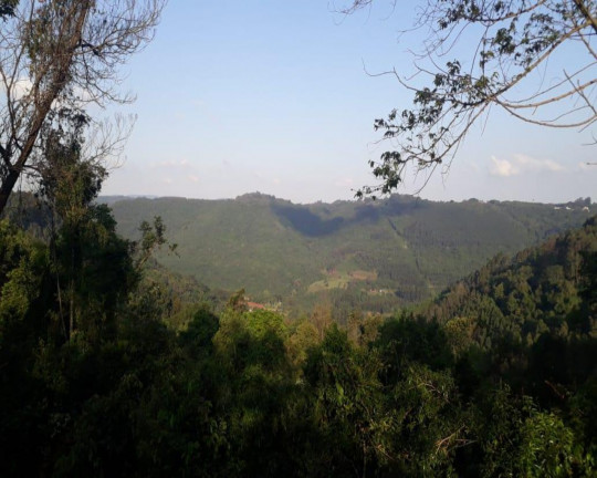 Imagem Imóvel à Venda, em Linha Olinda - Nova Petrópolis Imagem Imóvel à Venda, em Linha Olinda - Nova Petrópolis