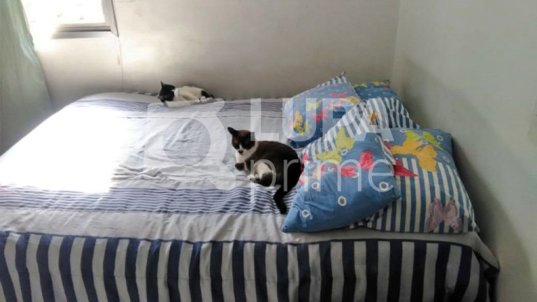 Imagem Apartamento com 2 Quartos à Venda, 63 m² em Tucuruvi - São Paulo