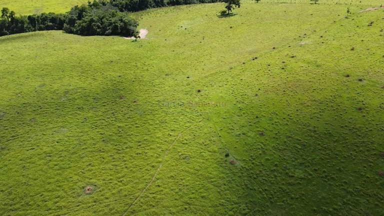 Imagem Imóvel à Venda, 387.200 m² em Centro - Itapetininga Imagem Imóvel à Venda, 387.200 m² em Centro - Itapetininga