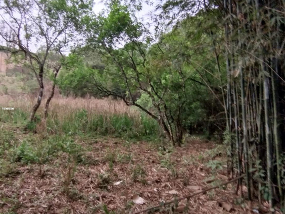 Imagem Chácara com 3 Quartos à Venda, 80 m² em Bom Retiro - Caldas Imagem Chácara com 3 Quartos à Venda, 80 m² em Bom Retiro - Caldas
