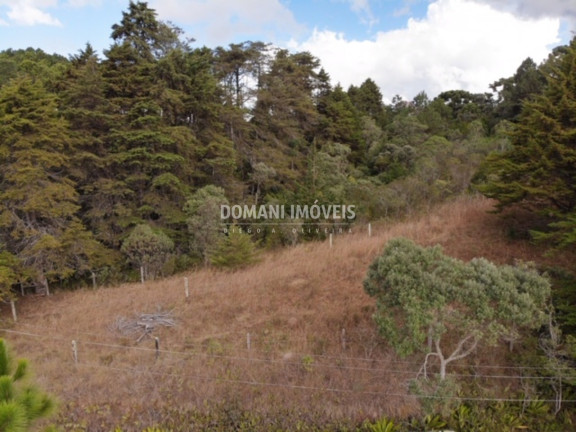 Imagem Imóvel à Venda, 10.050 m² em Região De Descansópolis - Campos Do Jordão