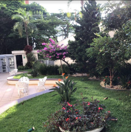 Imagem Apartamento com 2 Quartos à Venda, em Indianópolis - São Paulo Imagem Apartamento com 2 Quartos à Venda, em Indianópolis - São Paulo