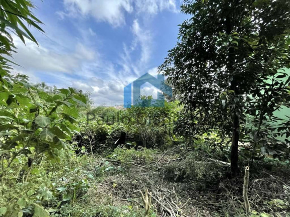 Imagem Terreno em Condomínio à Venda, 907 m² em Granja Viana - Cotia Imagem Terreno em Condomínio à Venda, 907 m² em Granja Viana - Cotia