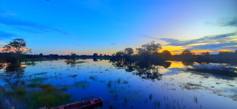 Imagem Chácara à Venda, 480.000 m² em Careiro Imagem Chácara à Venda, 480.000 m² em Careiro