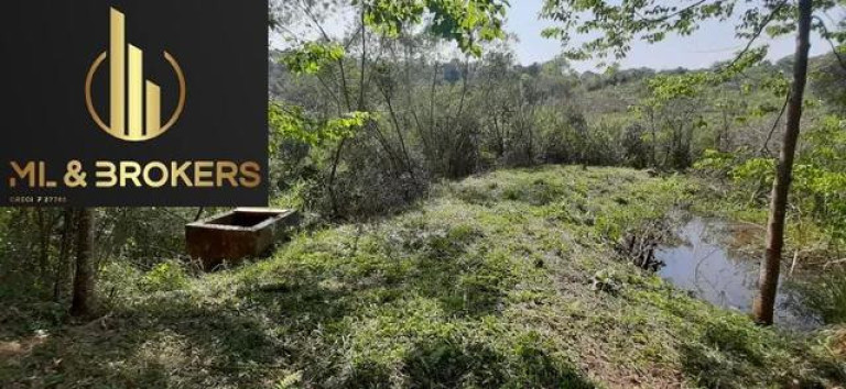 Imagem Terreno à Venda, 12.300 m² em Barro Preto - São José Dos Pinhais