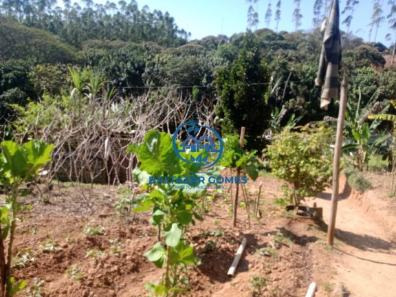 Imagem Imóvel com 1 Quarto à Venda, 1.137 m² em Cocuera - Mogi Das Cruzes