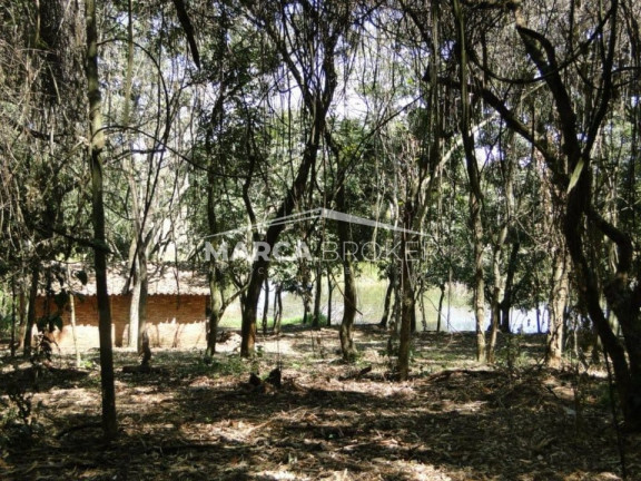 Fazenda à Venda, 35.000 m² em Floresta - Monte Santo De Minas
